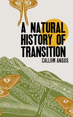 A Natural History of Transition