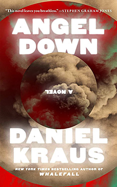Angel Down:  A Novel