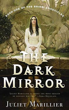 The Dark Mirror