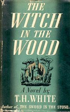 The Witch in the Wood