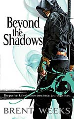 Beyond the Shadows Cover